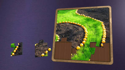 Super Jigsaws Plants screenshot 2