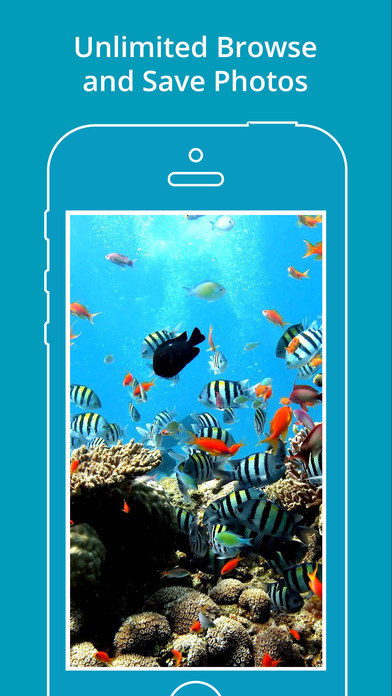 Aquarium Wallpapers | Backgrounds screenshot 3