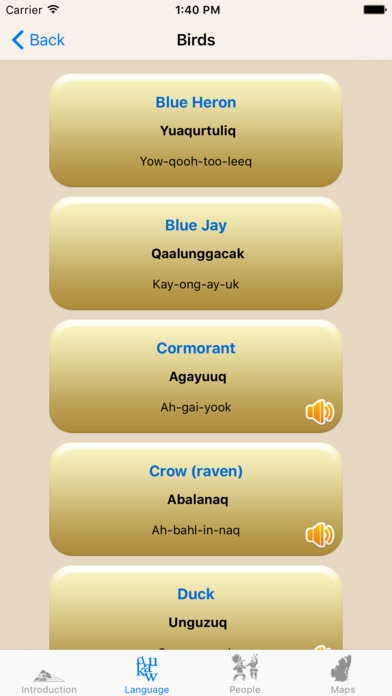 Chenega Dictionary screenshot 3