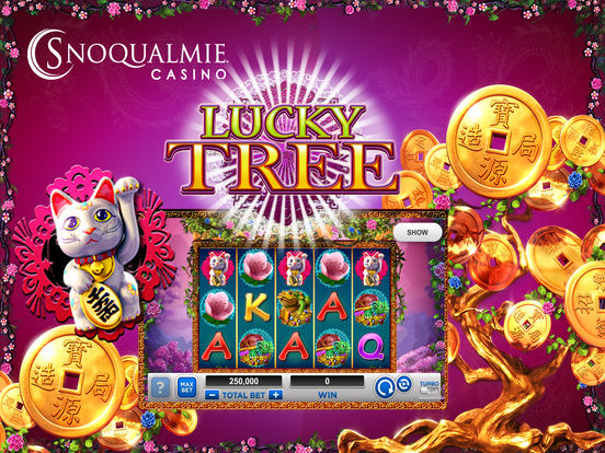 Slot machines at snoqualmie casino