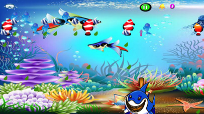 A Small Fished Fish Pro - A Underwater Fishing screenshot 3