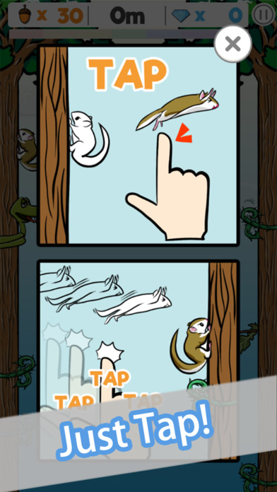 Fly ! Sugar : flying squirrel screenshot 3