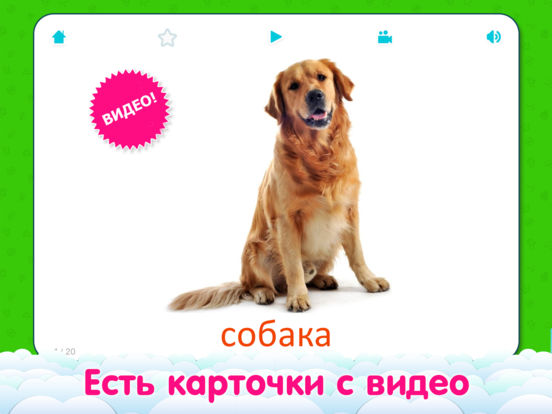 Карточки Домана для детей, азбука и звуки животных Карточки Домана для детей, азбука и звуки животных