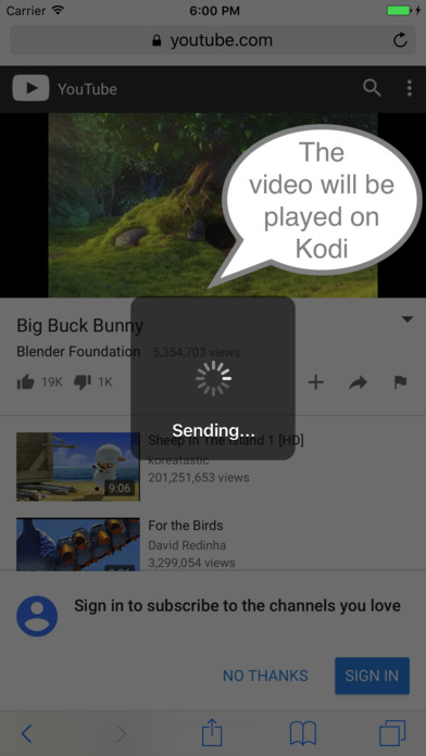 Stream to Kodi screenshot 3