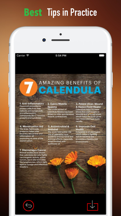 Calendula Guide-Benefits and Uses screenshot 4