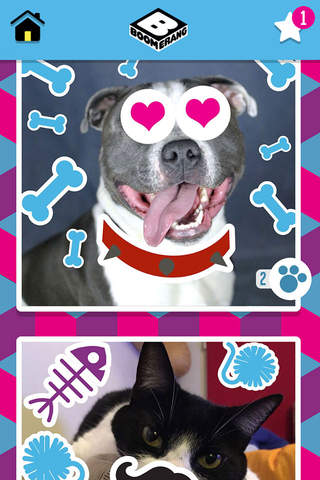 Скриншот из Boomerang Pet Photo Booth