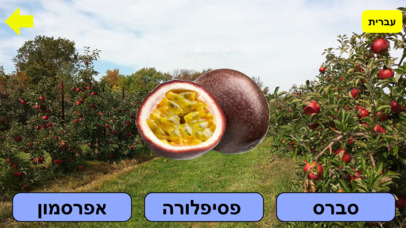 פירות ולומדים screenshot 3