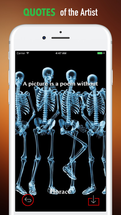 Funny Skeleton Wallpapers HD- Quotes and Art screenshot 4
