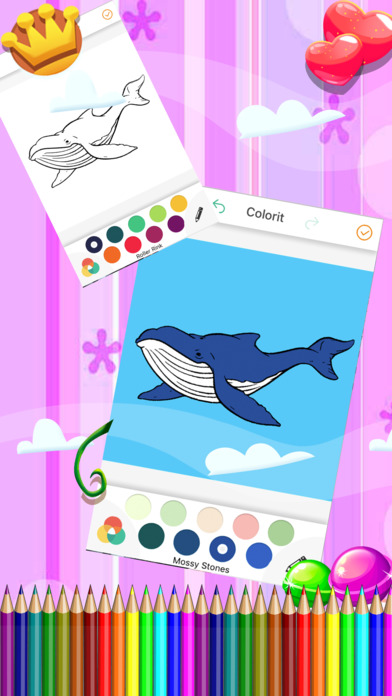 Coloring Dolphin & Big Fish Adventure For Kids screenshot 3