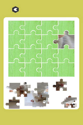 Mouse and Jerry Puzzle Learning For Kids - Animals screenshot 2