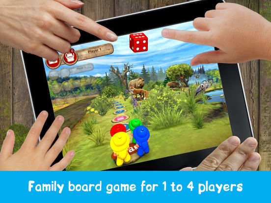 Forest Quest: board game for kids and family, quiz Forest Quest: board game for kids and family, quiz