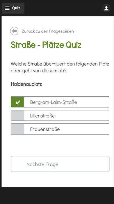 Mietwagen-Pruefung-App screenshot 4