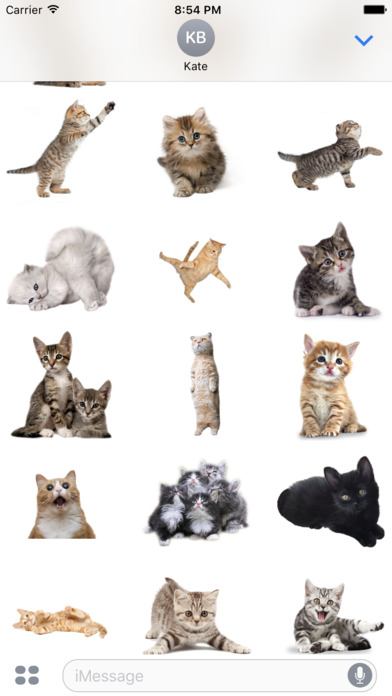 Mr. Meow - funny cat stickers screenshot 3
