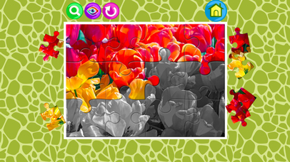 The Graden and flowers jigsaw puzzle games screenshot 3