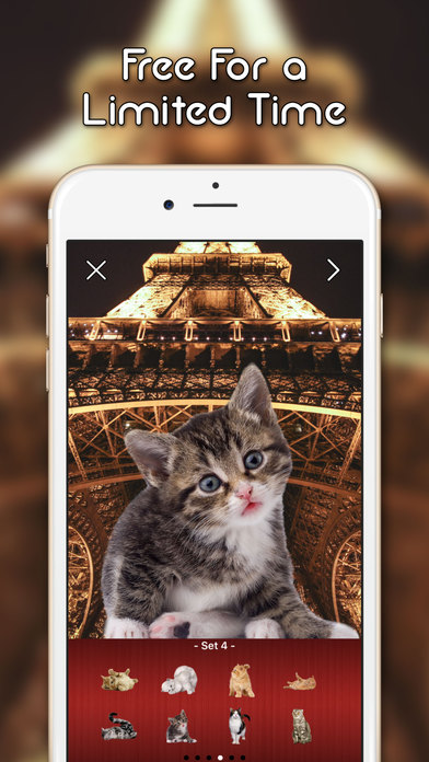 KittyGram - Cutest Cats Photo Decorator Free screenshot 3