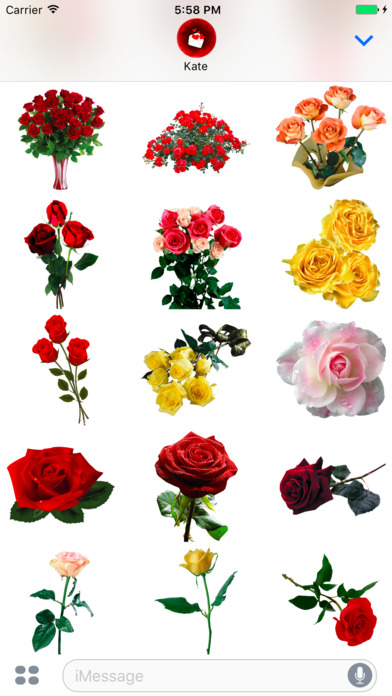 Красивые Цветы для праздников и на каждый день screenshot 4