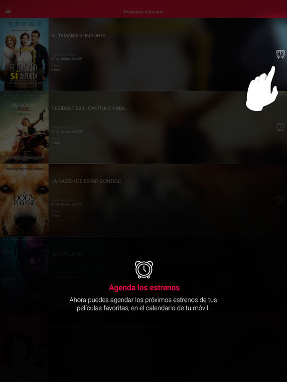 iPad Screenshot 4