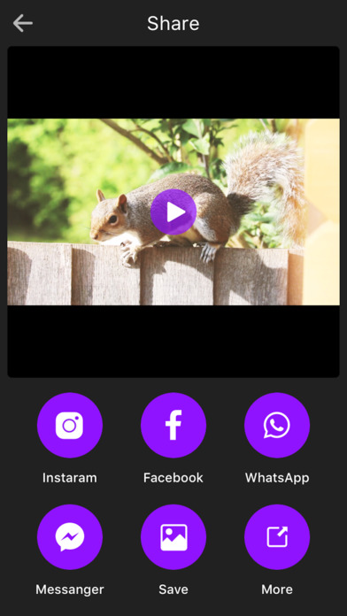 Video Filters Manager - Great Video Effects screenshot 3