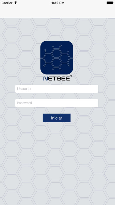 Netbee screenshot 2