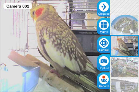 Viewer for Agasio IP cameras screenshot 2