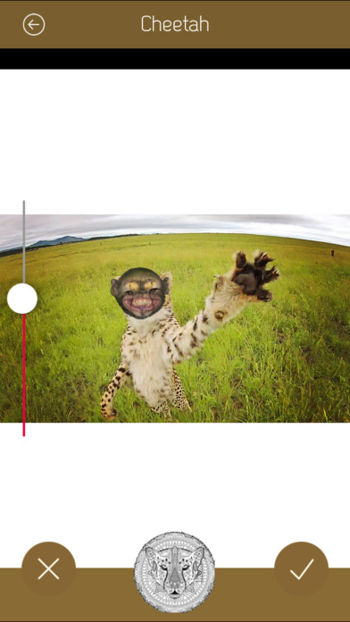Cheetah Photo "Animal me" screenshot 2