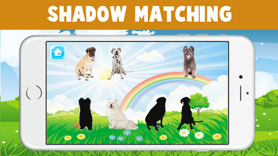 World Popular Dog Breeds Name Preschool Learning screenshot 4