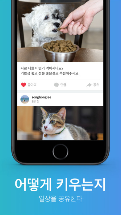 iPhone Screenshot 3