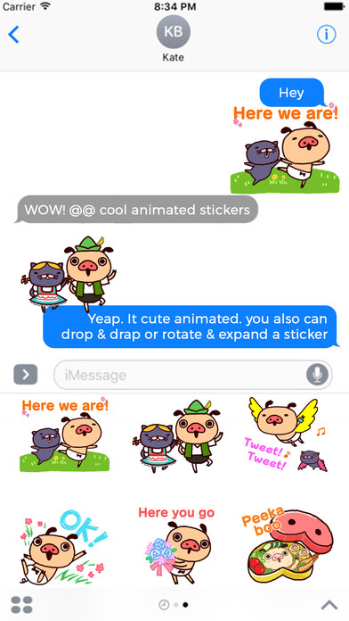 Stupid Pig & Cat Animated Stickers screenshot 3