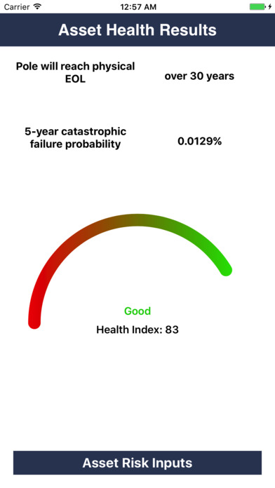 METSCO Pole Health & Risk screenshot 2