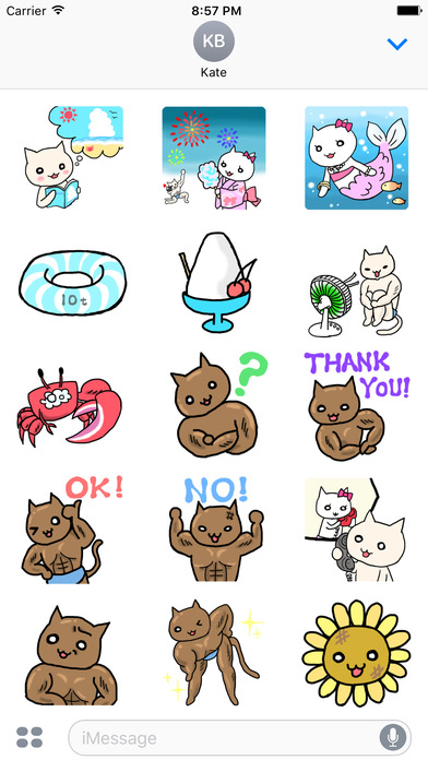 Summer Cat Stickers Pack Text Message screenshot 2