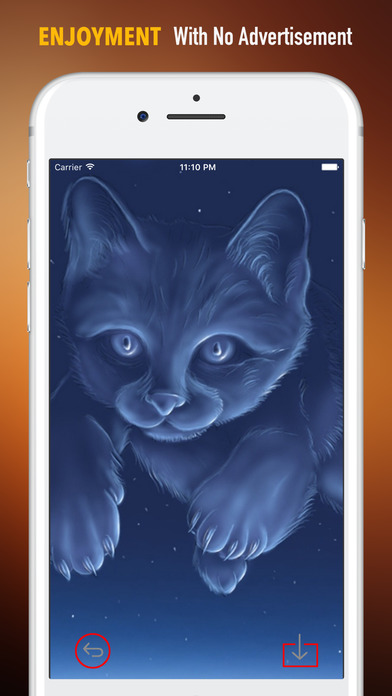 Cats in Space Wallpapers HD- Quotes and Art screenshot 2