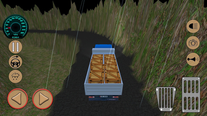 Truck Cargo Driving 3D Pro screenshot 4