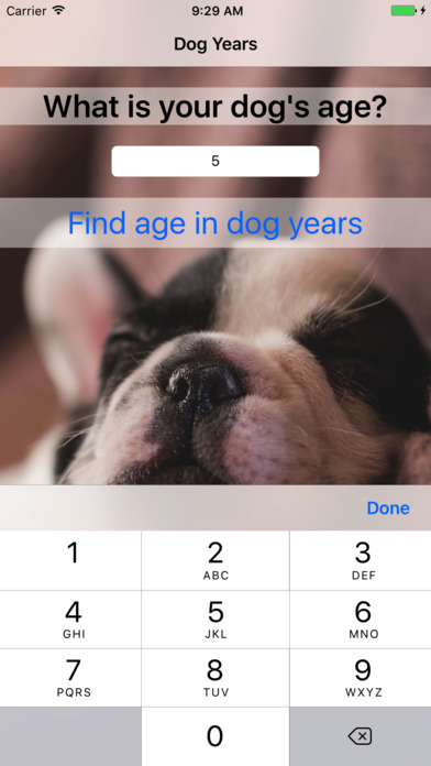 Dog Years - Fun And Simple Converter For Dog Years screenshot 3