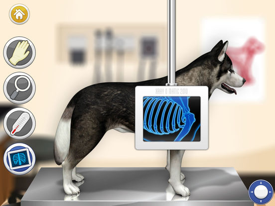 Screenshots of Pet Vet Doctor - DOGS Rescue for iPad