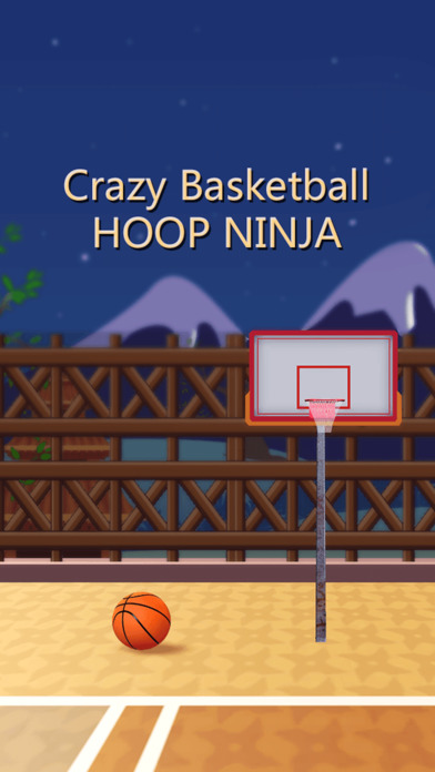 Crazy Basketball Hoop Ninja screenshot 3