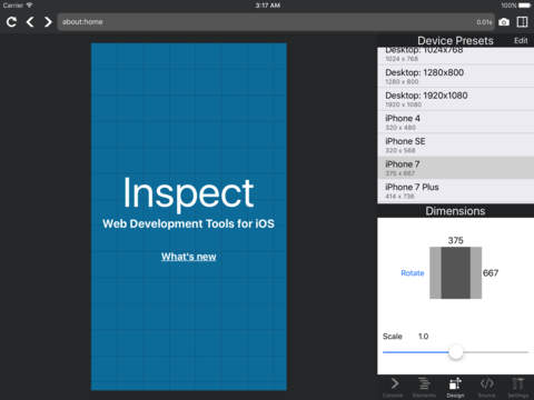 Inspect Browser screenshot 3