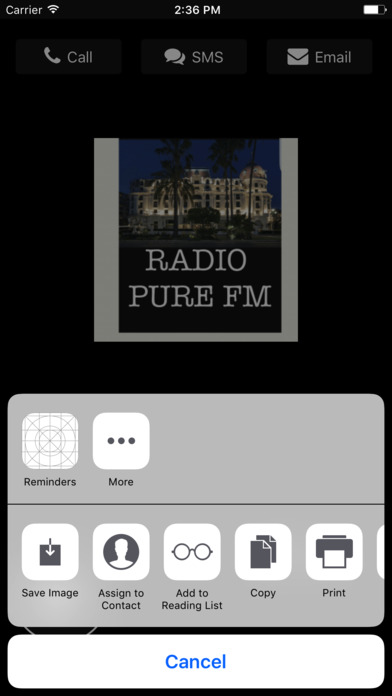 Radio Pur fm screenshot 2