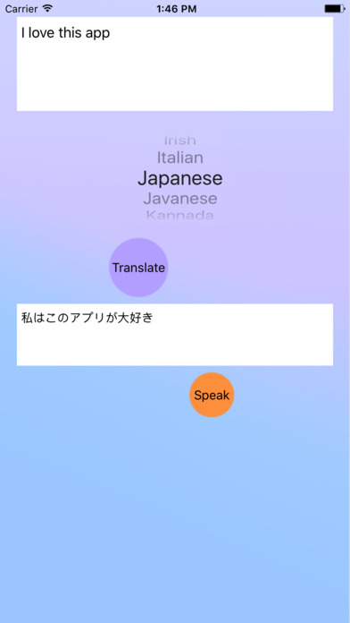 Translate this Language screenshot 4
