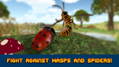 Ladybug Insect Survival Simulator 3D screenshot 2