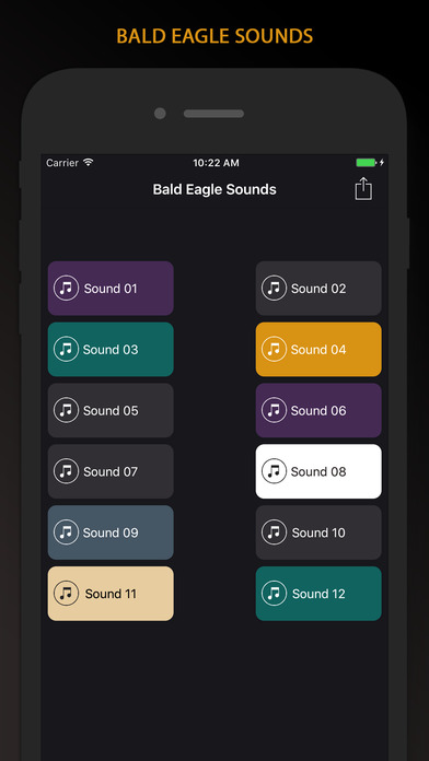 Bald Eagle Sounds screenshot 2