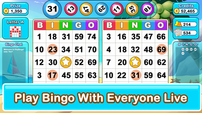 Hey Bingo™: Classic Bingo Game screenshot 2