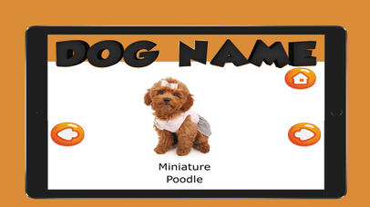 The Dog Name English Vocabulary screenshot 3