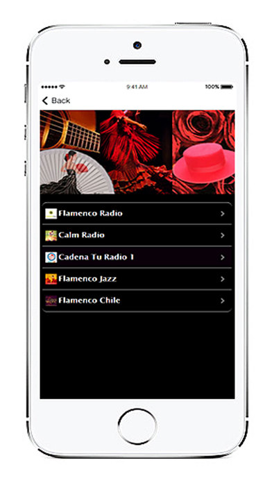Flamenco Radios screenshot 4