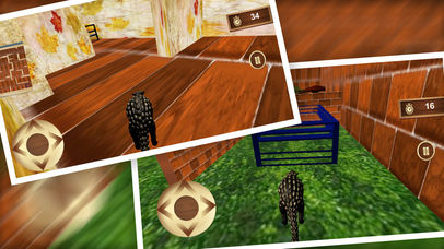 Dinosaur Maze Puzzle Run Pro screenshot 3