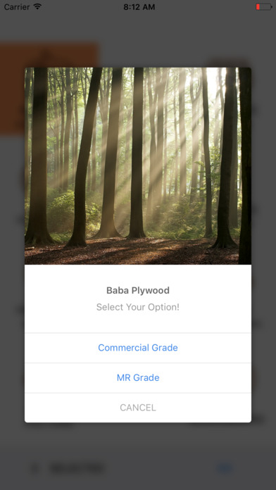 Baba Plywood - The Plywood App screenshot 3