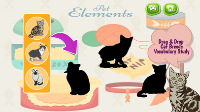 Cats And Kittens Shadow Matching Game screenshot 3