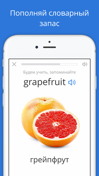 iPhone Screenshot 3