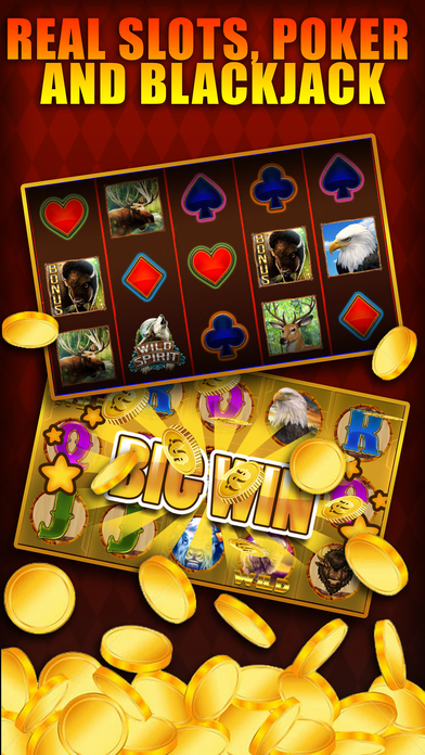 Wild Pro - Casino Slot Games screenshot 3