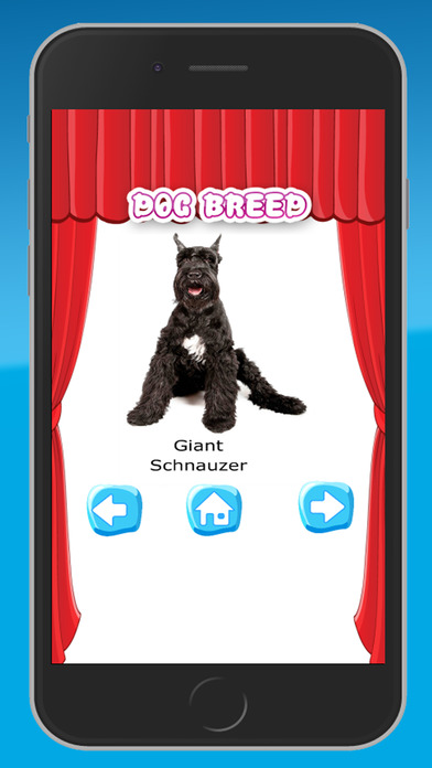 Dogs Breed screenshot 3