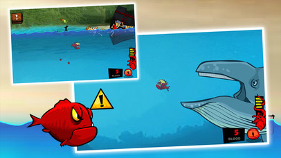 Piranha Attack:Feeding Hunting screenshot 4